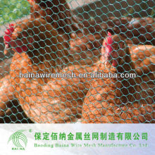 Anping Supply Chicken Mesh Factory Versorgung direkt